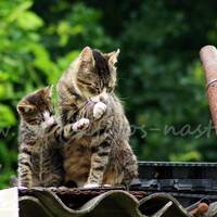 PICT0125