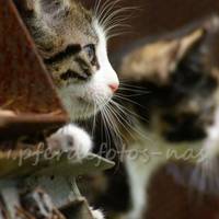 PICT0051