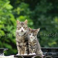 PICT0120