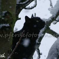 PICT0051e