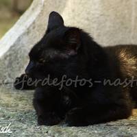 Kopie von PICT0098