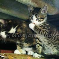 PICT0007 (2)