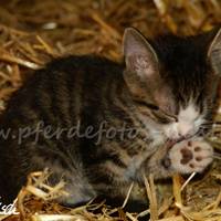 PICT0025