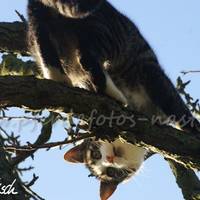 PICT0026
