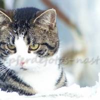 PICT0037