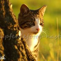 PICT0044