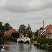 DSC 3597